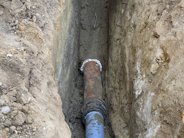 Best Professional water damage repair  in Hitchcock, TX