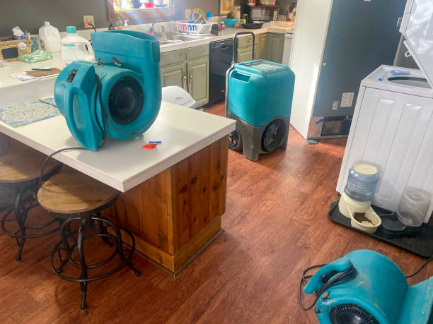 24/7 water damage repair in Hitchcock, TX