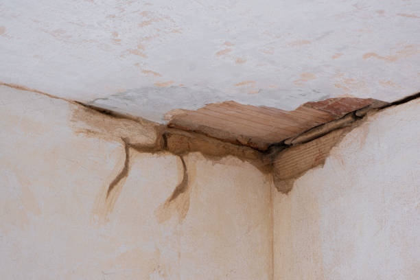 Best Water damage contractors near me  in Hitchcock, TX