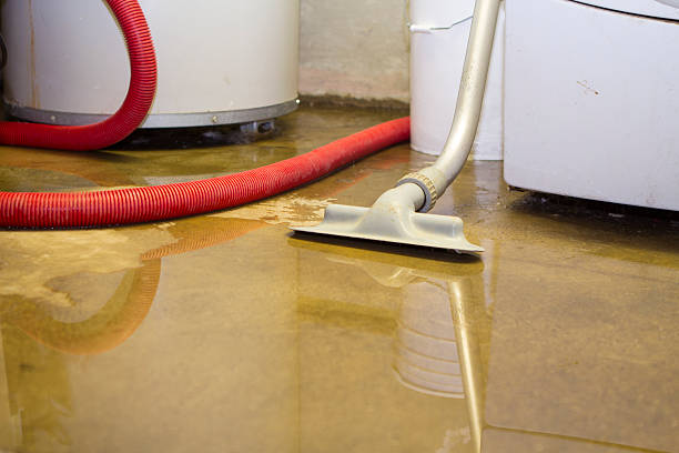 Best Residential water damage restoration  in Hitchcock, TX