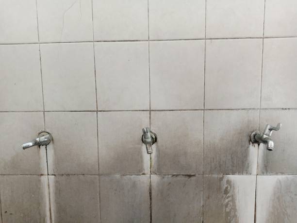 Best Basement water damage restoration  in Hitchcock, TX