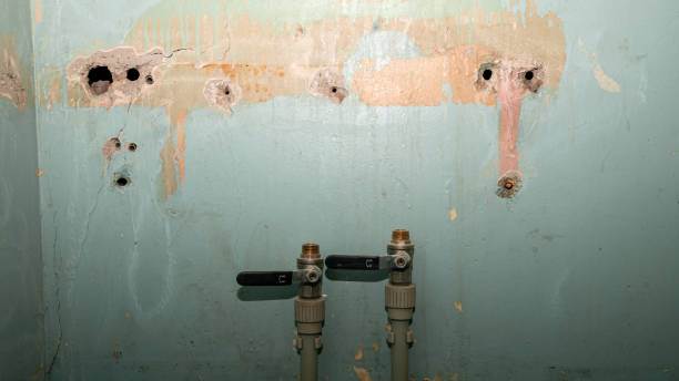 Best Commercial water damage restoration  in Hitchcock, TX