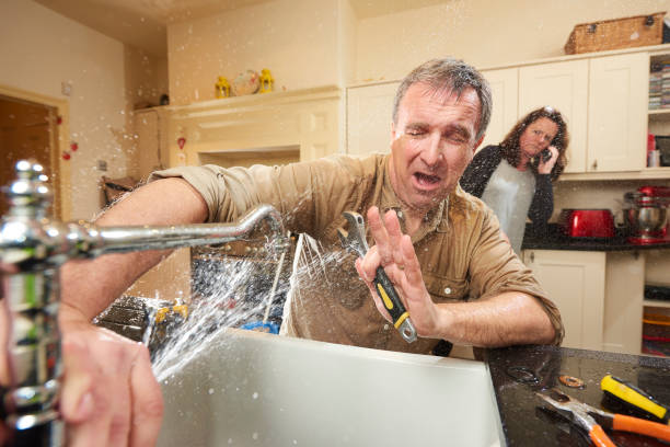 Best Mold removal after water damage  in Hitchcock, TX